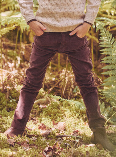 Brown PANTS Brown PANTS NLEDUAGE / 25H3PGT1PAN816