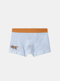 Light Kaki BOXER MLIMAINAGE / 25E5PG41BOX626