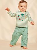 Almond green fleece pants FACECTOR / 23E1BGB1PAN611