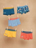 5 blue, yellow and red boxer shorts with dinoaur print and motif GRUMAINAGE / 23H5PG32BOX716