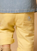 Straw yellow PANTS MAMAEL / 25E1BGK1PAN104