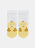 Little chick socks KAJAZON / 24E4BGD4SOQ103
