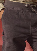 Grey PANTS LADURAGE / 24H3PGQ1PANJ909