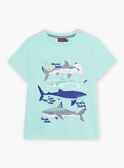 Child boy turquoise T-shirt with shark print COTIFAGE / 22E3PGN1TMC203