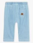 Sky blue light denim pants with bird embroidery FAANDY / 23E1BG82PANP272