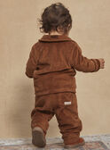 Brown corduroy pants GANOAH / 23H1BGI1PAN815