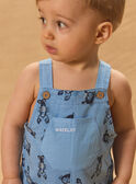Blue SHORT DUNGAREES MAVADIN / 25E1BGQ2SACC213