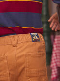 Brown PANTS LYBEAGE / 24H3PGO2PANI821