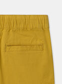 Golden yellow BERMUDA MLABERMAGE / 25E3PGK1BER106