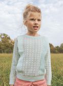 Teal ruffled sweater FIPULETTE / 23E2PFD1PULG606