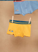 5 blue, yellow and red boxer shorts with dinoaur print and motif GRUMAINAGE / 23H5PG32BOX716