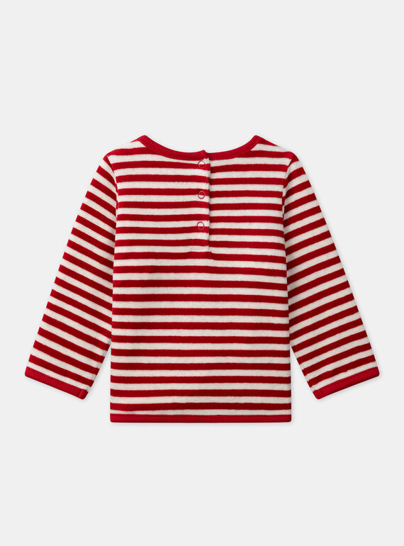 Red SET LAVALOU / 24H1BGF1ENSF511