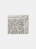 Off white SCARF MIFOULETTE / 25E4PF91ECHA001