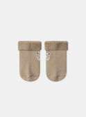 Brown SET MOISE / 25E0CM22ENS821