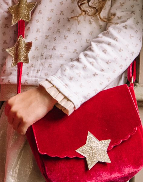 Velvet shoulder bag DAESAKETTE / 22H4PF61BESF526