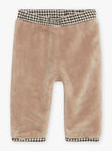 Hazelnut plaid pants GALUCIEN / 23H1BGH1PAN821