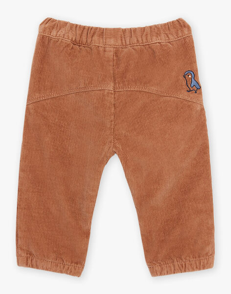 Brown corduroy pants DASCOTT / 22H1BGY1PAN804