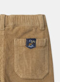Yellow PANTS NLOCORDAGE / 25H3PGW2PAN107