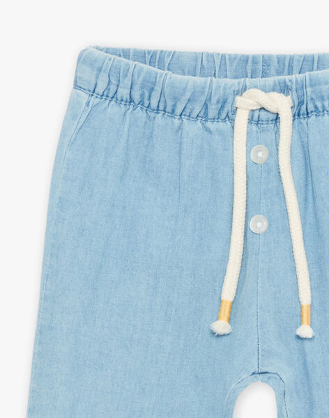 Sky blue light denim pants with bird embroidery FAANDY / 23E1BG82PANP272