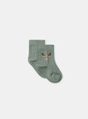 Light Kaki SET NORBETO / 25H0CGO1ENS626