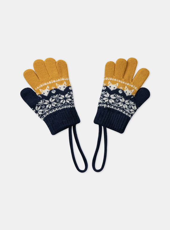 Navy GLOVES & MITTENS LISCHAGE / 24H4PG72GAN070