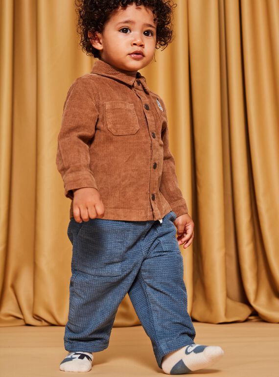 Grey blue corduroy pants DASECTOR / 22H1BGY2PAN205