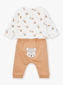 Hazelnut and ecru top, pants and bandana set LOGAN / 24H0CG13ENS821