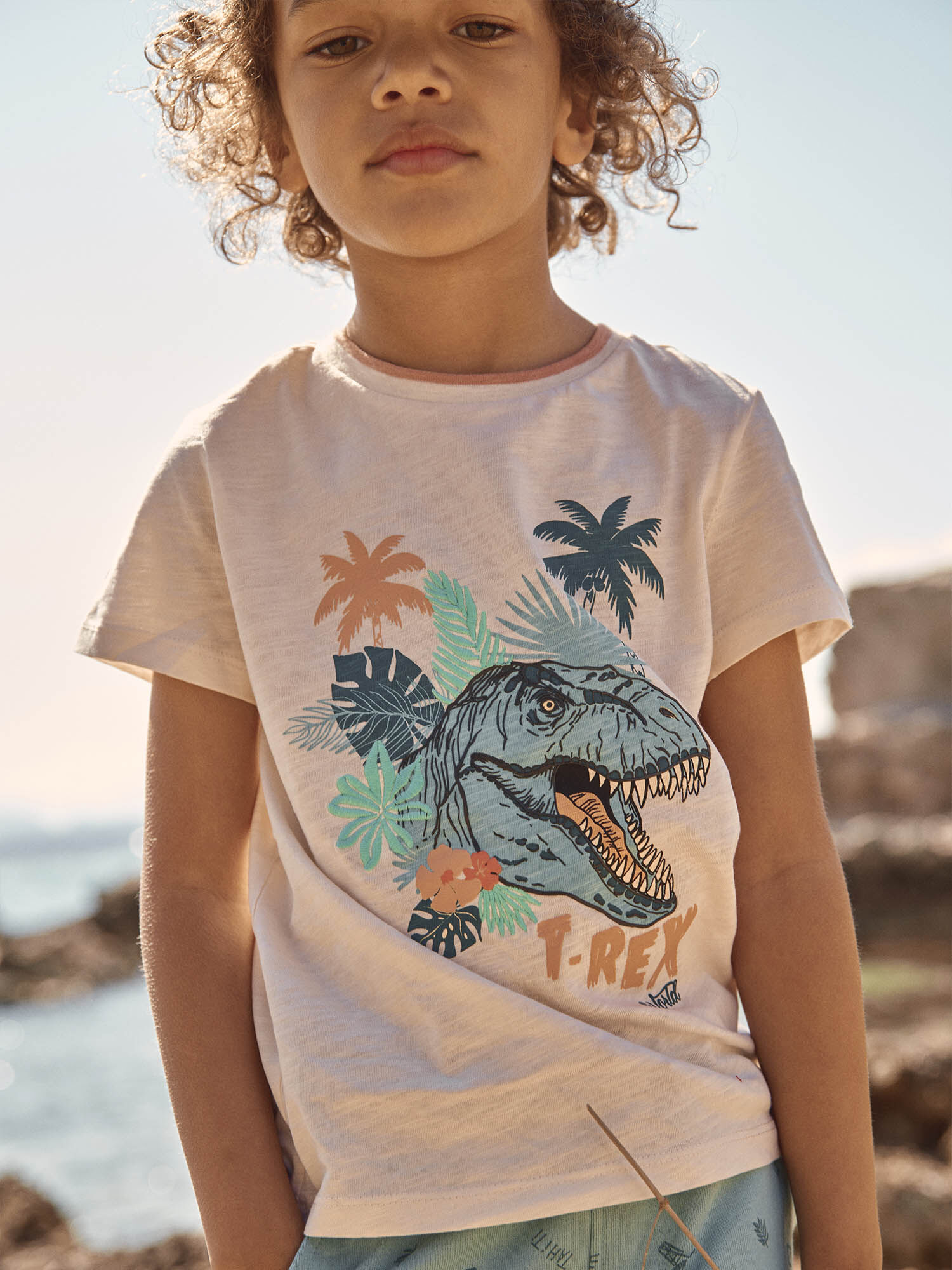 T shirt shop sergent major