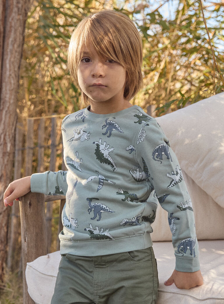 Light green SWEAT SHIRT MISWETAGE / 25E3PG91SWEG600