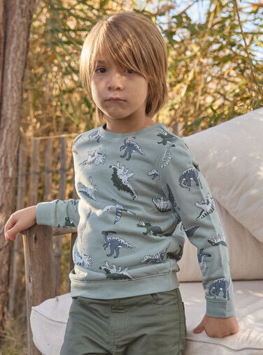 Light green SWEAT SHIRT MISWETAGE / 25E3PG91SWEG600