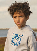 Heather grey PULLOVER MEBOSSAGE / 25E3PG81PUL943