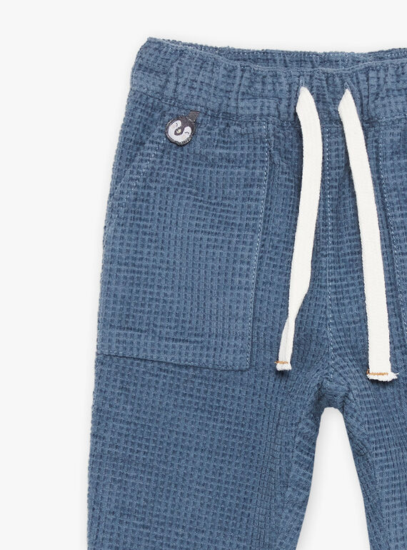 Grey blue corduroy pants DASECTOR / 22H1BGY2PAN205