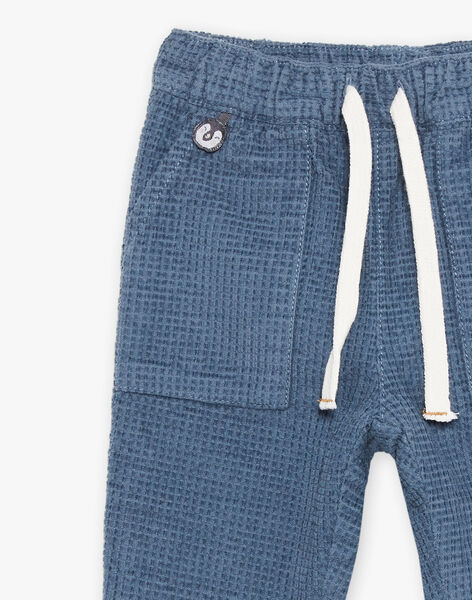 Grey blue corduroy pants DASECTOR / 22H1BGY2PAN205