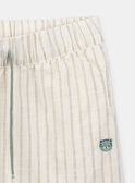 Dark green striped trousers with a vanilla background KAGREY / 24E1BGC2PAN114