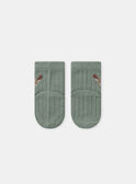 Light Kaki SET NORBETO / 25H0CGO1ENS626
