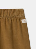 Brown PANTS MAAXEL / 25E1BG71PAN812