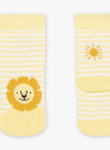 Off white striped socks Jacquard lion FAARNOLD / 23E4BG82SOQ001