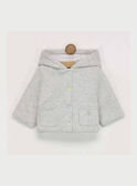 Heather grey Blazer RYARNO / 19E0CG11VES943