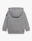 Grey hooded vest DESIPAGE / 22H3PGF1GILJ922