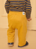 Yellow PANTS LAMAHE / 24H1BGO1PAN107