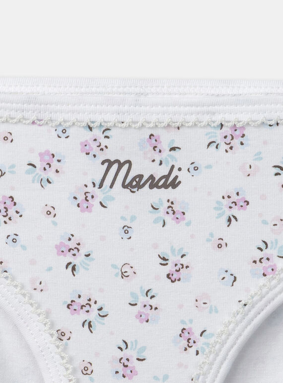 Pale rose BRIEFS / PANTY RIB NEJAZETTE / 25H5PFC4SLR301