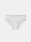 Turquoise BRIEFS / PANTY RIB MLITRETTE / 25E5PF42SLR202