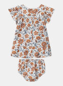 Pink DRESS MASONIA / 25E1BFP2ROBD300