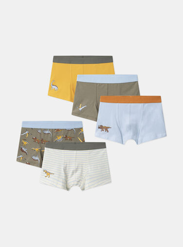 Light Kaki BOXER MLIMAINAGE / 25E5PG41BOX626