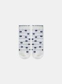 Vanilla SOCKS SETx3 MADEBORAH / 25E4BF81LC3114