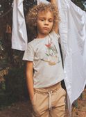 Heather grey rhinoceros T-shirt FRIZOTAGE3 / 23E3PGD4TMCA011