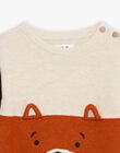 Brown PULLOVER DAJIFLO / 22H1BGF1PULI815