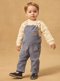Greyish blue DUNGAREES NAODRAN / 25H1BGW1SAL205