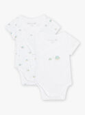 Set of 2 assorted turtle bodysuits birth mixed COROL / 22E0NMI1BOD000