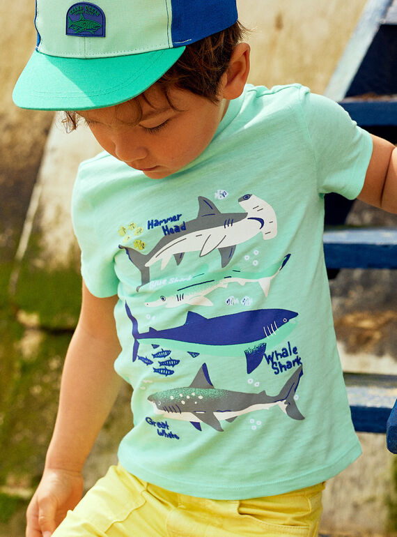 Child boy turquoise T-shirt with shark print COTIFAGE / 22E3PGN1TMC203
